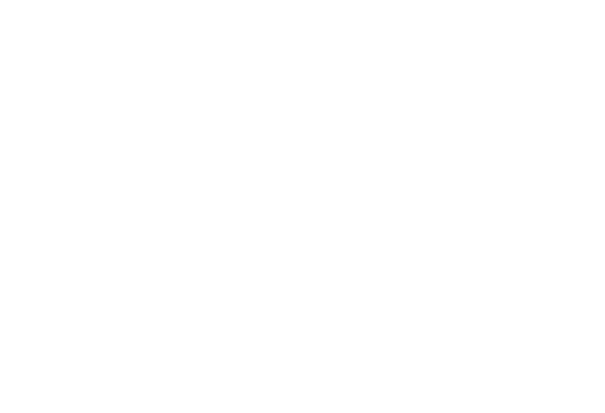 Logotipo PV Mantenimientos y Gestiones Energéticas blanco